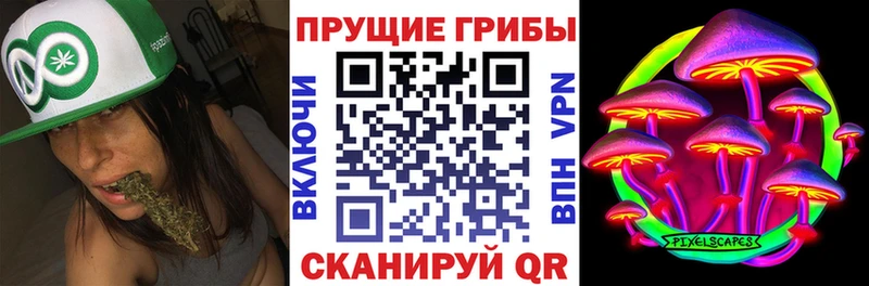 Галлюциногенные грибы Psilocybe  где можно купить наркотик  Зеленогорск 